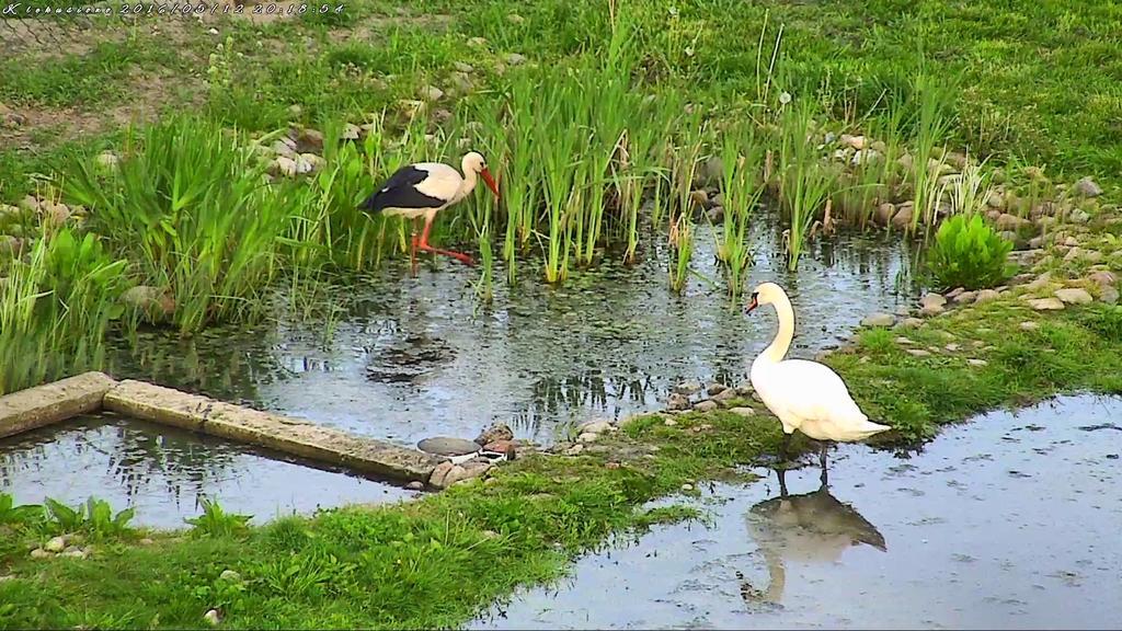 Agroturystyka Klekusiowo Boleslawiec  Esterno foto