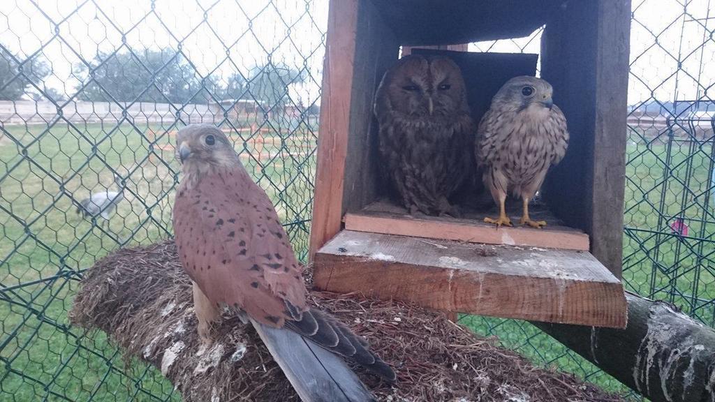 Agroturystyka Klekusiowo Boleslawiec  Esterno foto