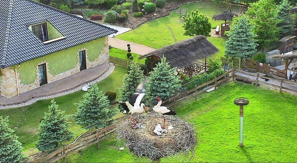 Agroturystyka Klekusiowo Boleslawiec  Esterno foto