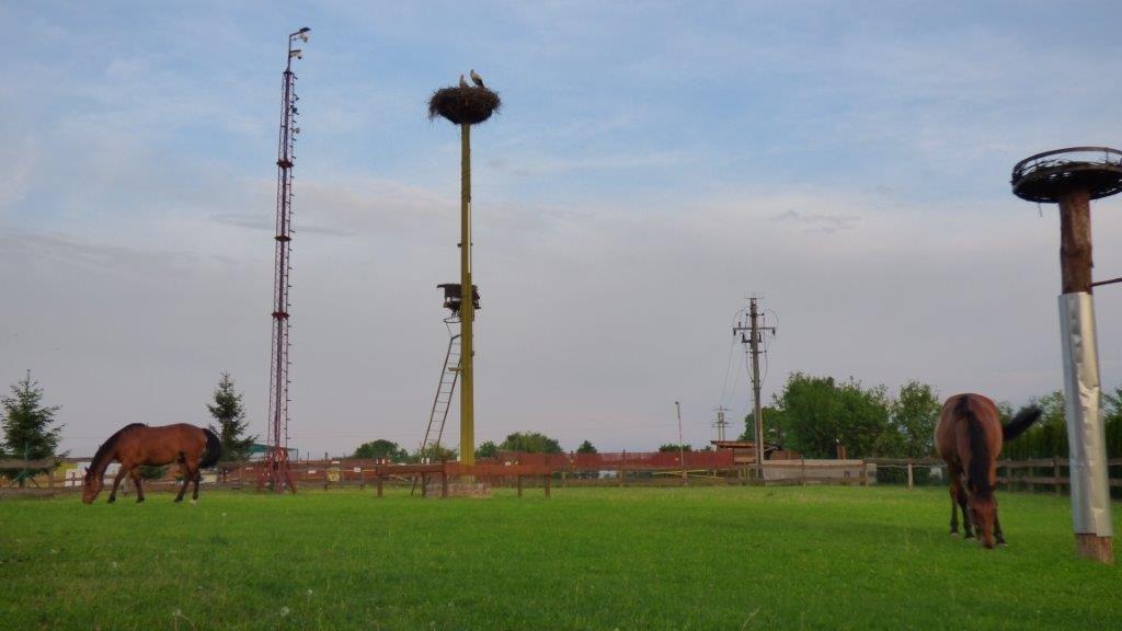 Agroturystyka Klekusiowo Boleslawiec  Esterno foto