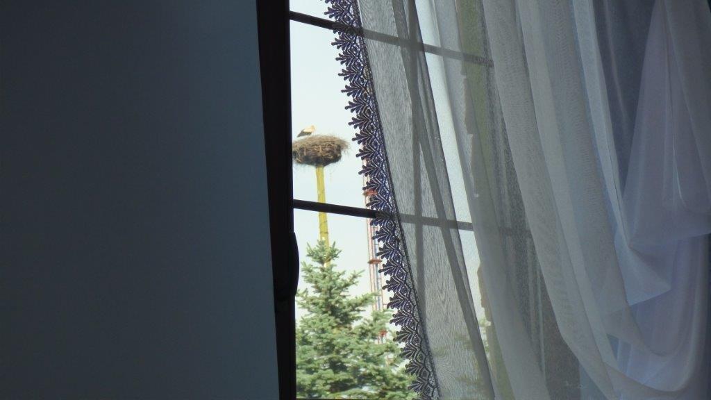 Agroturystyka Klekusiowo Boleslawiec  Esterno foto