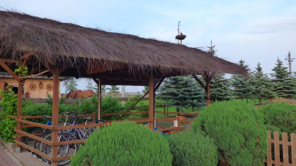 Agroturystyka Klekusiowo Boleslawiec  Esterno foto