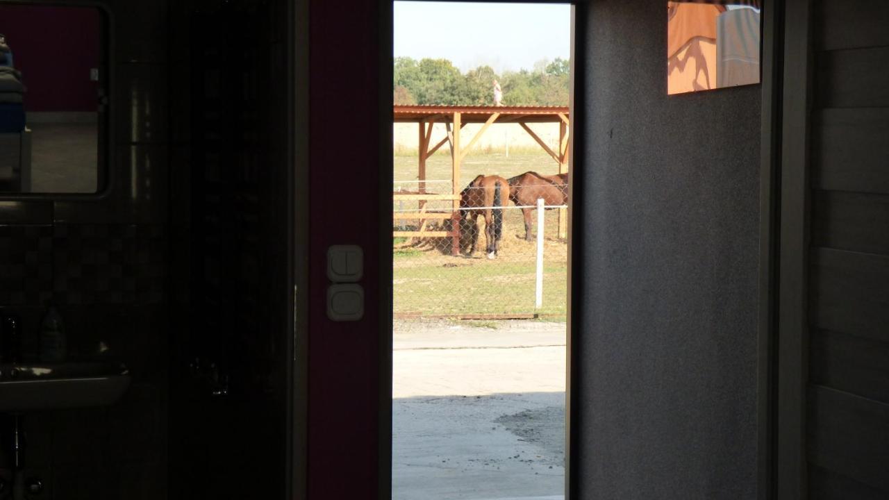 Agroturystyka Klekusiowo Boleslawiec  Esterno foto