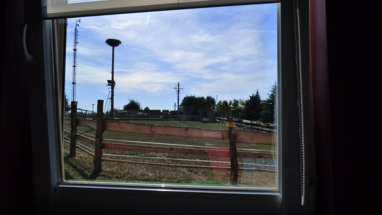 Agroturystyka Klekusiowo Boleslawiec  Esterno foto